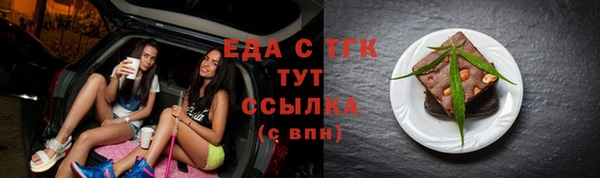 индика Новодвинск