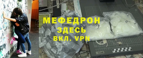 индика Новодвинск