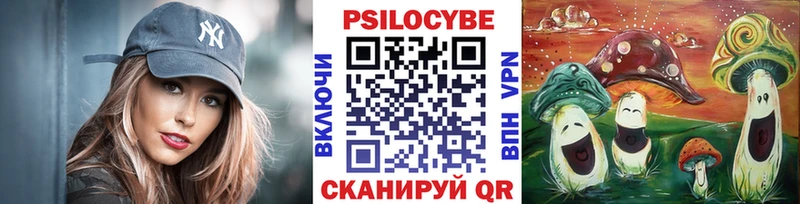 Псилоцибиновые грибы GOLDEN TEACHER Шуя