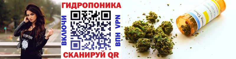 Бошки Шишки конопля  Шуя 
